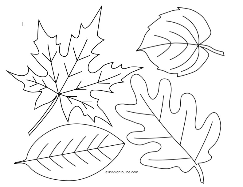 Fall Leaves Coloring Sheet
 Autumn Leaves Coloring Page Bestofcoloring