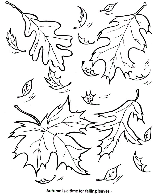 Fall Leaves Coloring Sheet
 Free Printable Leaf Coloring Pages For Kids