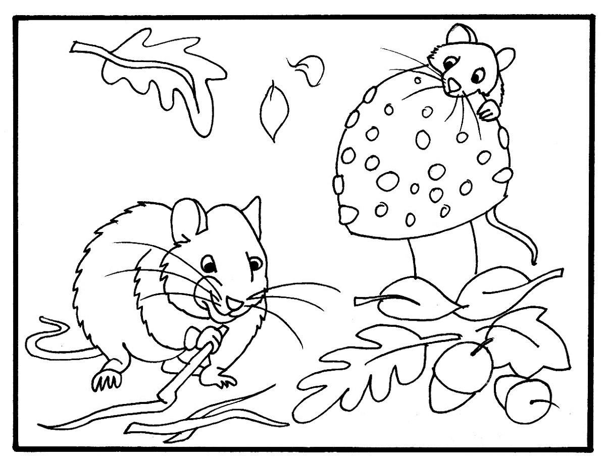 Best ideas about Fall Printable Coloring Sheets
. Save or Pin Fall Color Pages Printable Now.