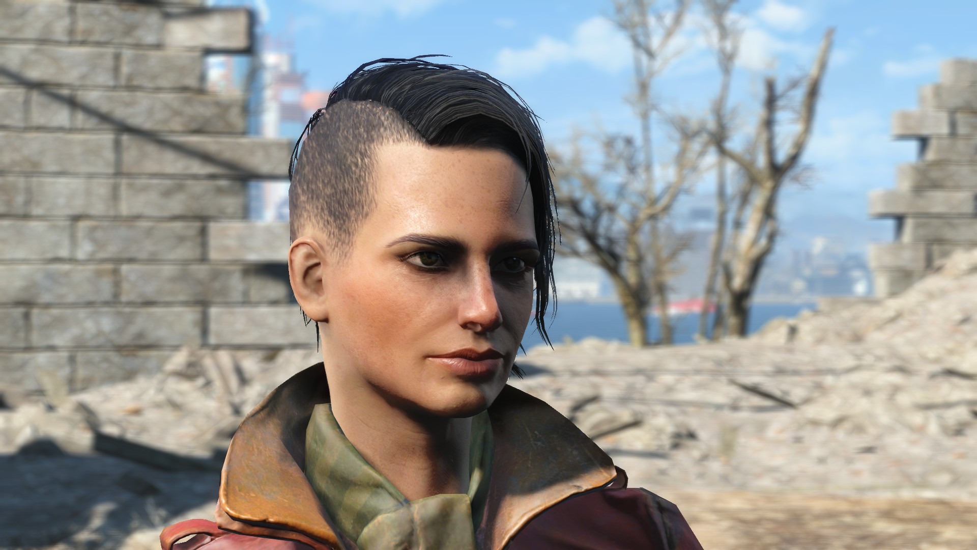 Fallout 4 Female Hairstyles
 panion Hairstyle Selection Fallout 4 Mod