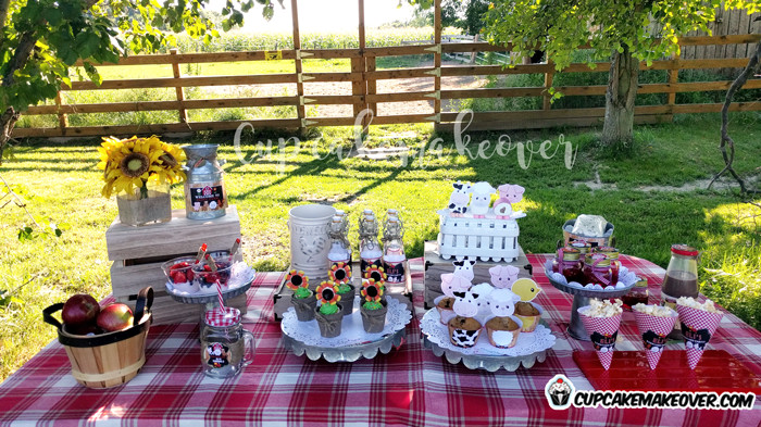 Farm Birthday Decorations
 Barnyard Party Ideas Eli’s Farm Birthday Party