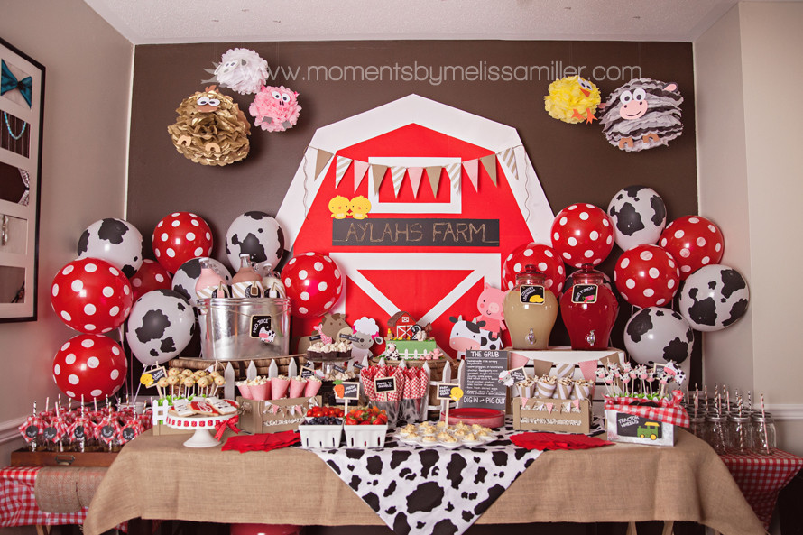 Farm Birthday Decorations
 Farm Themed First Birthday Party Decor Ideas