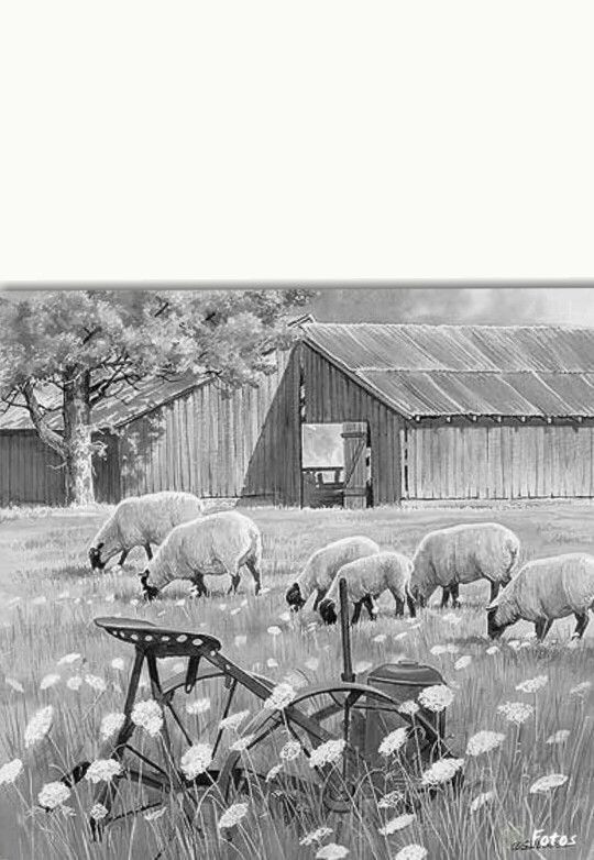 Farm Coloring Pages For Adults
 222 best Coloring Pages Life The Farm images on