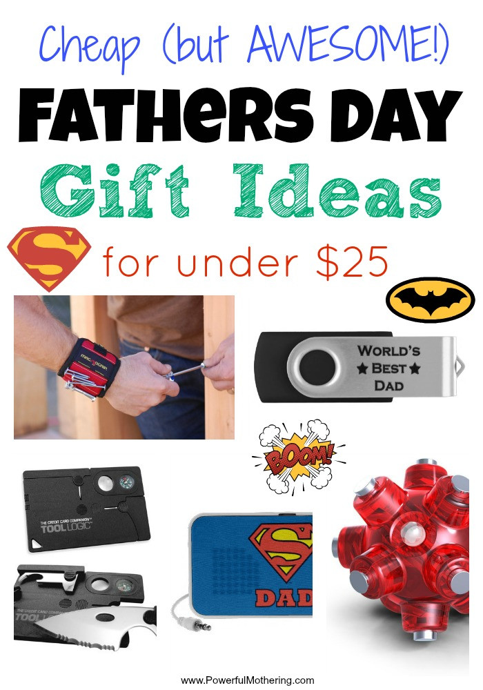 Father Daughter Gift Ideas
 Cheap Fathers Day Gift Ideas for under $25