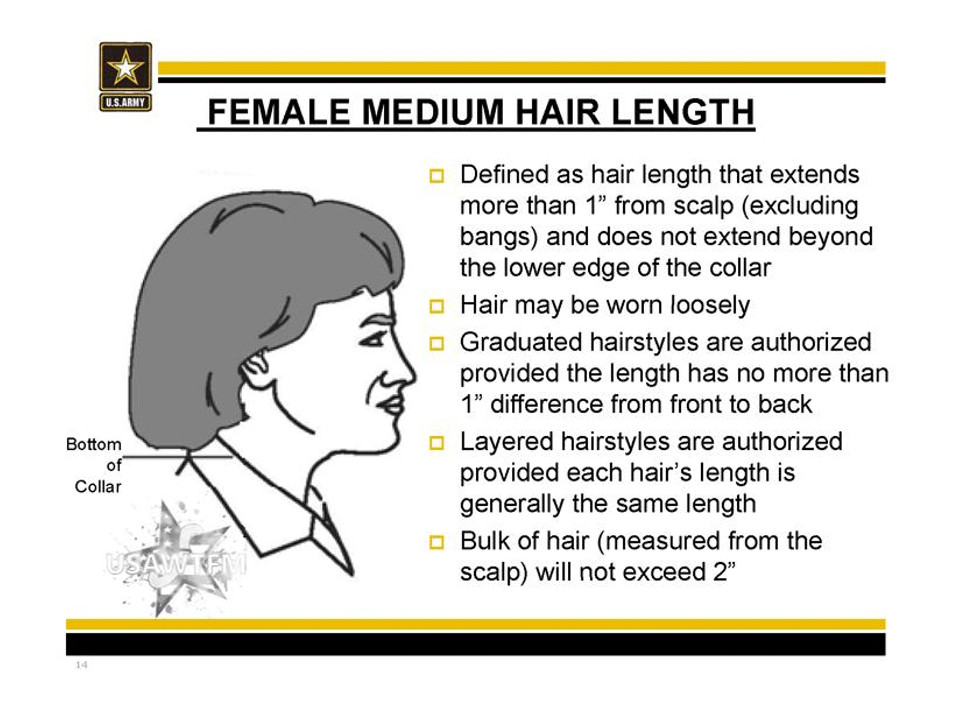 Female Authorized Hairstyles Army
 The Mane Objective Do The New Army Regulations Unfairly