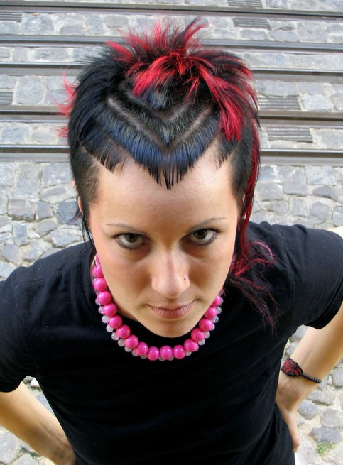 Female Punk Hairstyles
 Punk Hairstyles for Women Stylish Punk Hair s