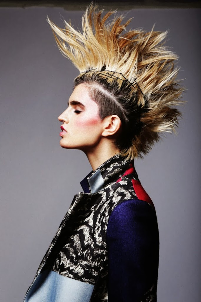 Female Punk Hairstyles
 Color Punk and Rock Hairstyles For Women