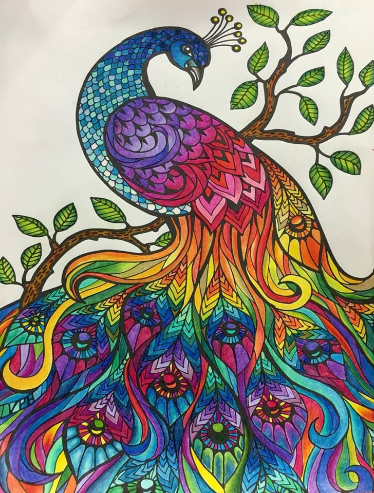 Finished Coloring Pages For Adults
 17 Best images about Coloring inspiration Johanna Basford