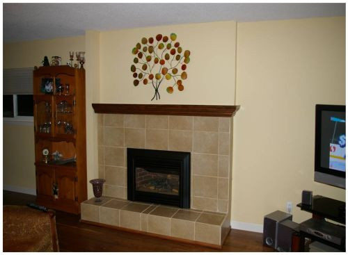 Fireplace Remodel DIY
 Do it Yourself Fireplace Remodels