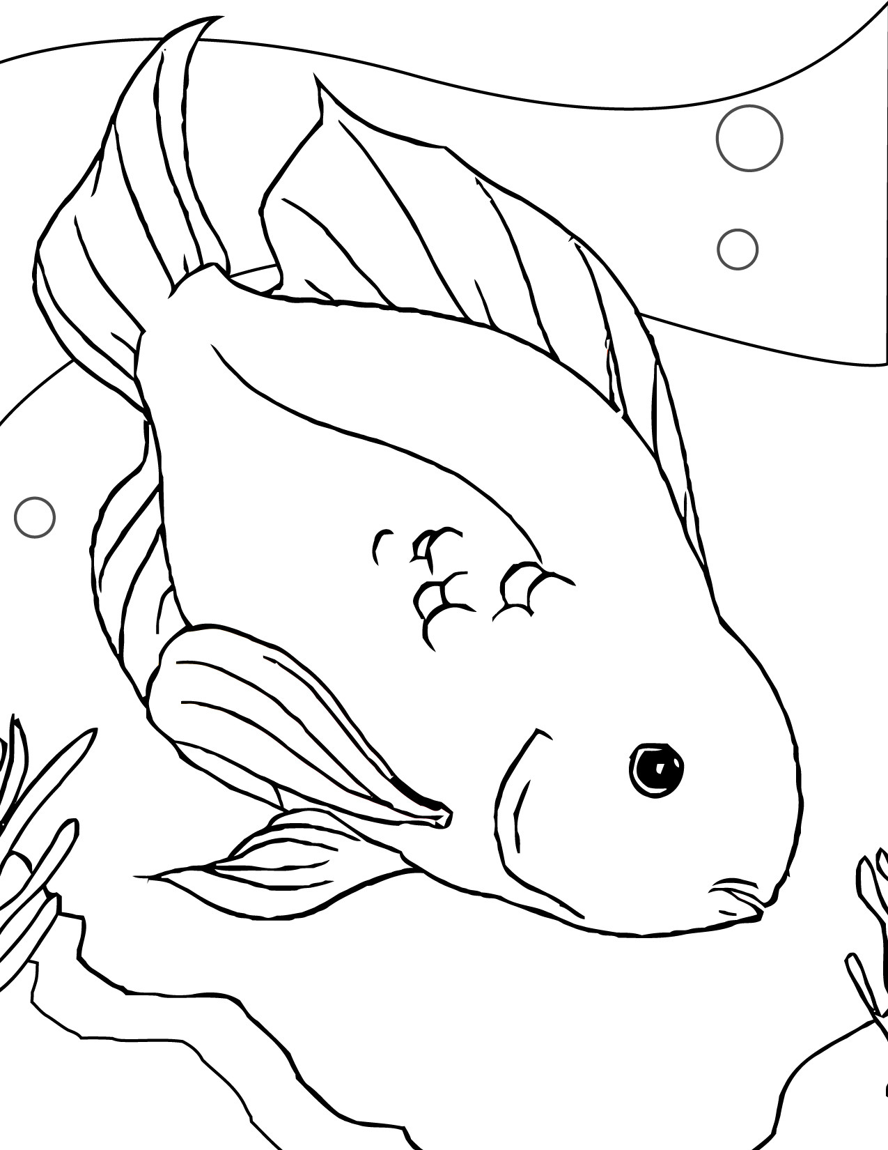 Fish Coloring Book Pages
 Free Printable Fish Coloring Pages For Kids