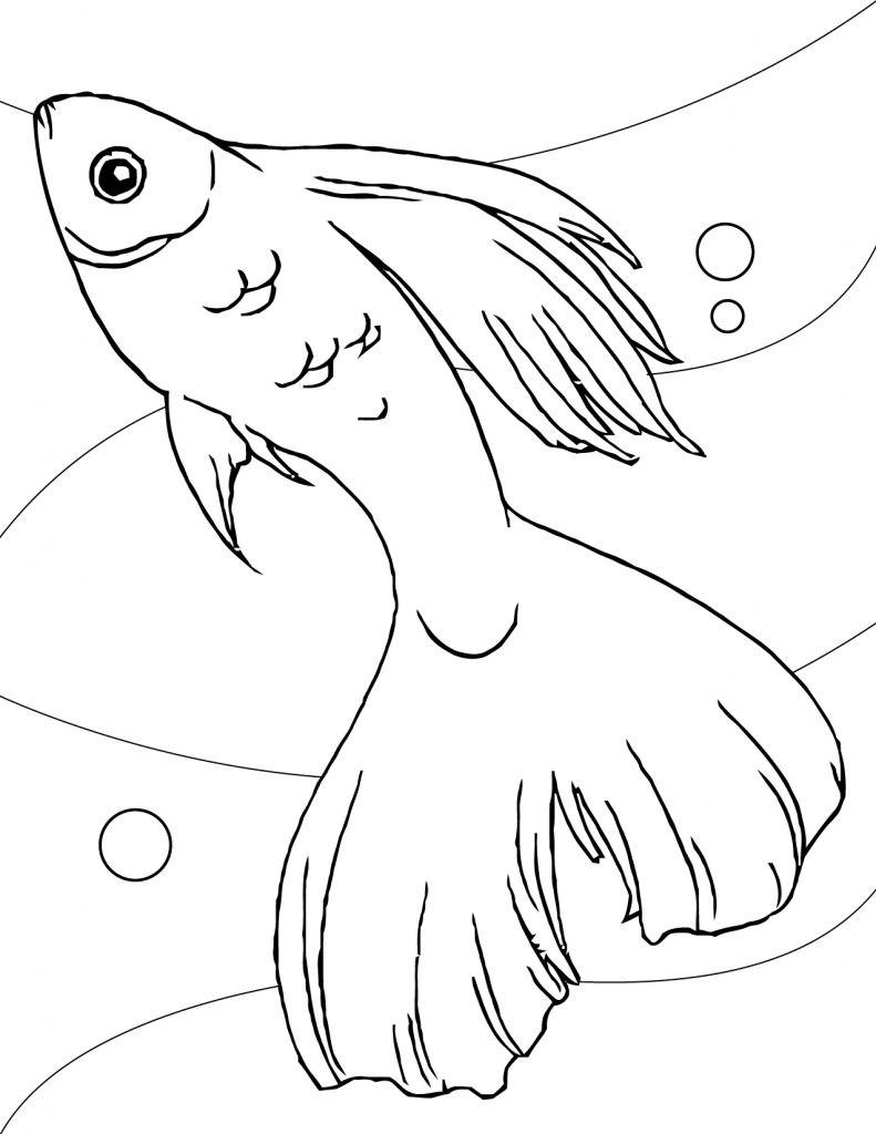 Fish Coloring Pages
 Free Printable Fish Coloring Pages For Kids