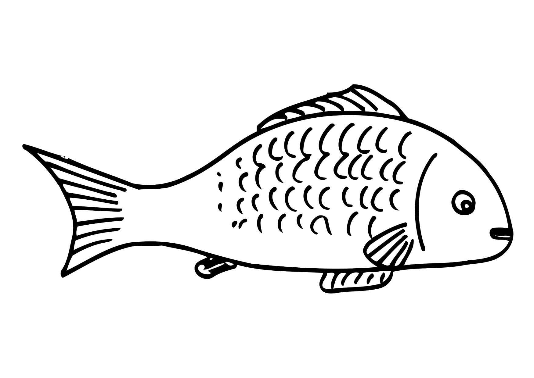 Fish Coloring Pages
 Free Printable Fish Coloring Pages For Kids