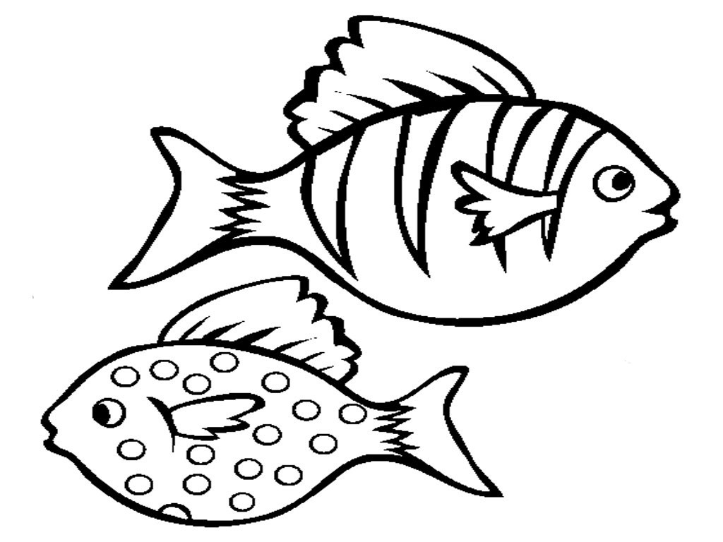 Fish Printable Coloring Pages
 Free Printable Fish Coloring Pages For Kids