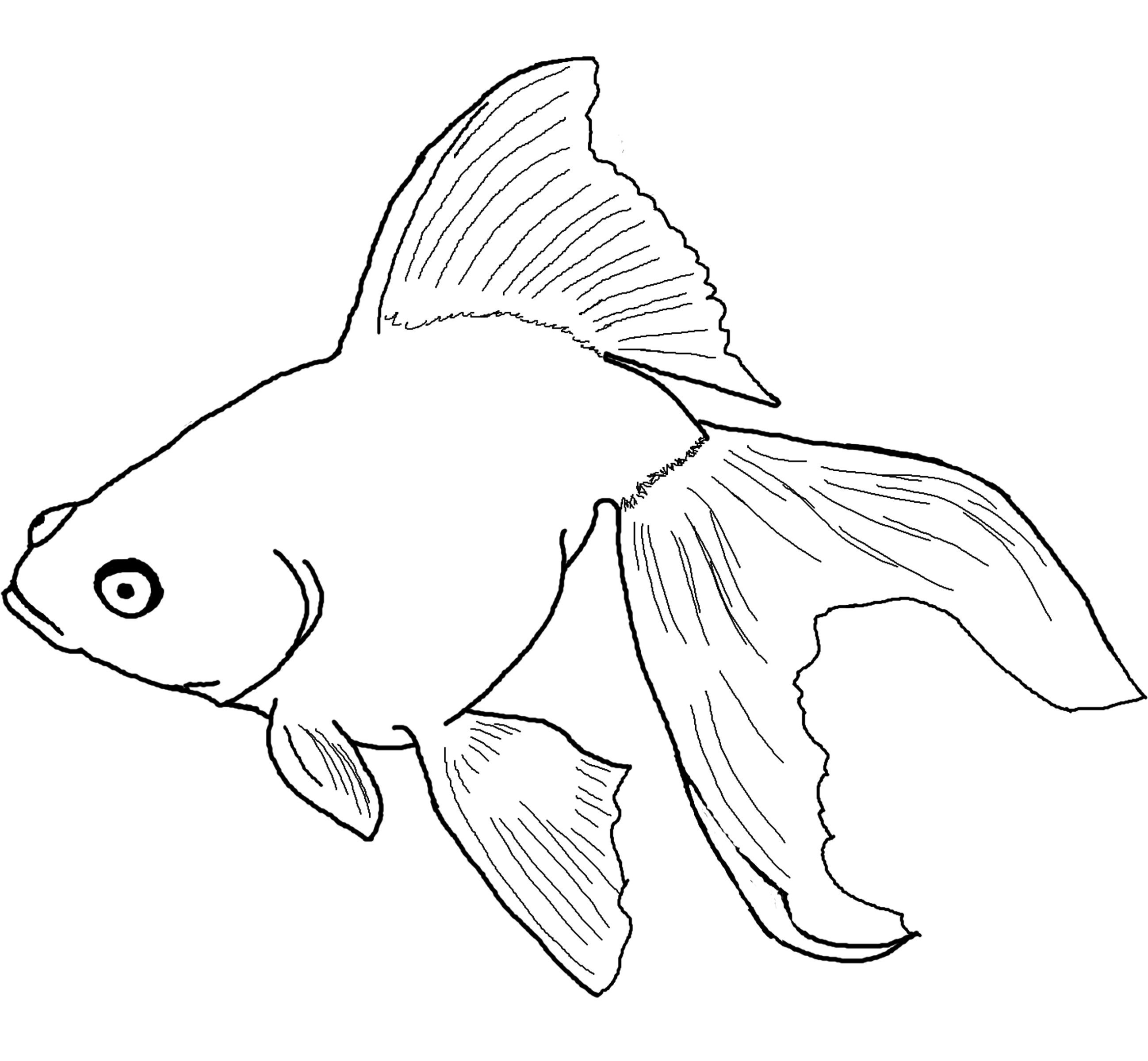 Fishing Coloring Pages
 Free Printable Fish Coloring Pages For Kids