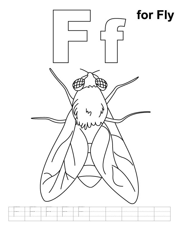 Flies Coloring Pages
 Fly Coloring Pages AZ Coloring Pages