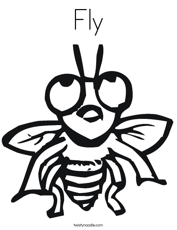 Flies Coloring Pages
 Fly Coloring Page Sketch Coloring Page