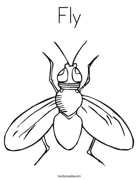 Flies Coloring Pages
 Fly Coloring Page Twisty Noodle