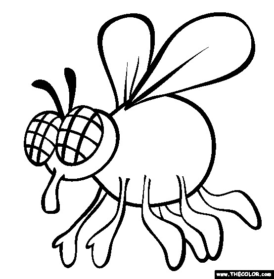 Flies Coloring Pages
 Insect line Coloring Pages