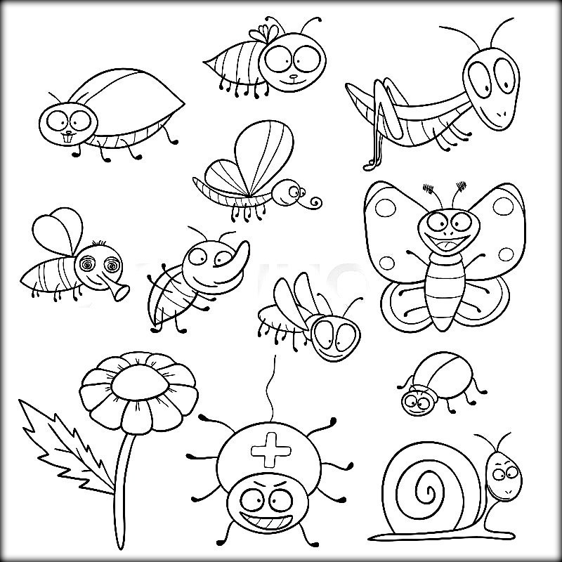 Flies Coloring Pages
 Insects Coloring Color Zini