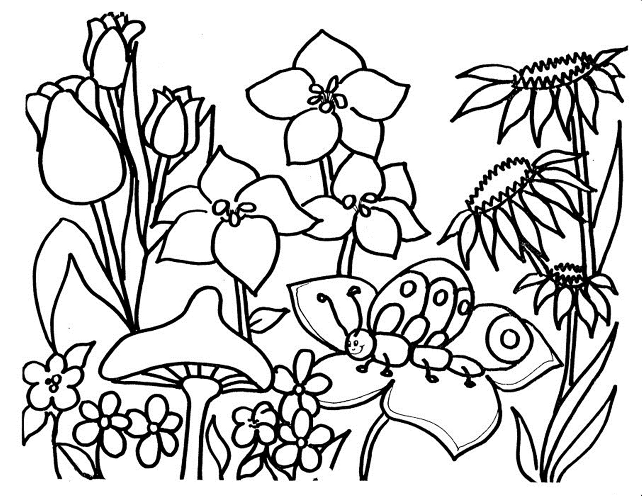 Flower Coloring Book Pages
 Free Printable Flower Coloring Pages For Kids Best