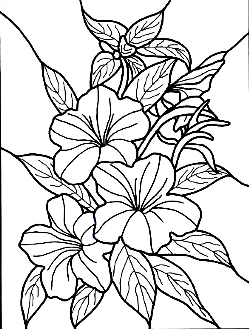 Flower Coloring Book Pages
 Free Printable Hibiscus Coloring Pages For Kids