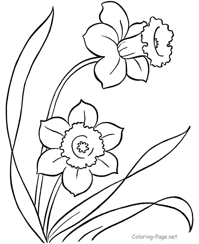 Flower Coloring Sheets For Boys
 Printable Flower Coloring Pages Coloring Home