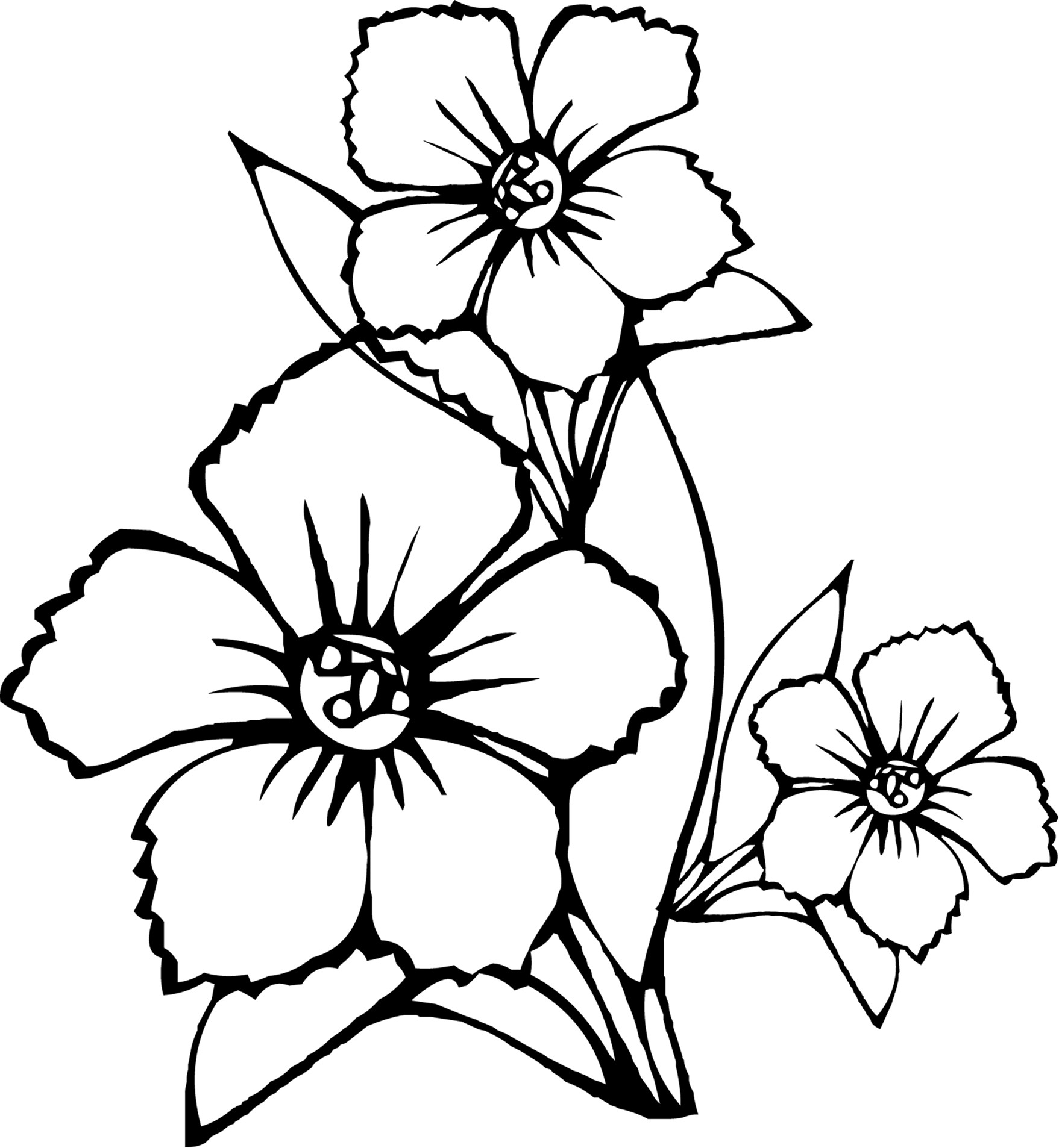 Flowers Coloring Book Pages
 Free Printable Flower Coloring Pages For Kids Best