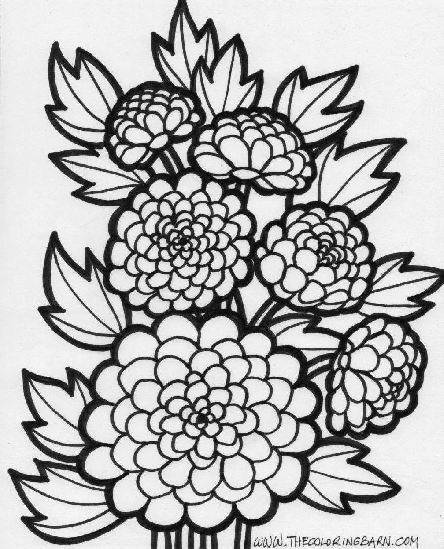 Flowers Coloring Sheet
 Flower Coloring Sheets