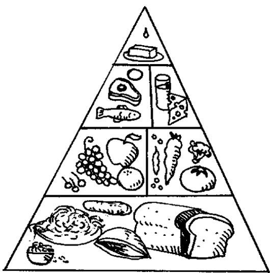 Food Pyramid Coloring Sheets For Kids
 The Food Pyramid With A Nice Array Coloring Page