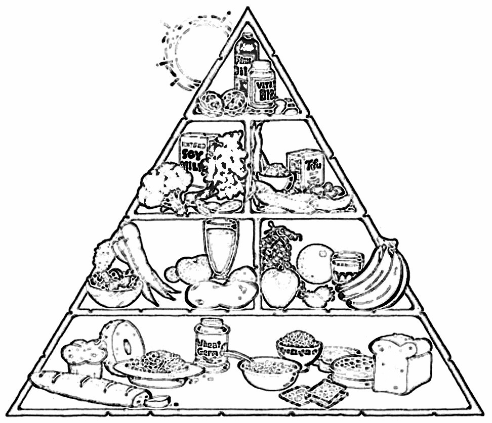 Food Pyramid Coloring Sheets For Kids
 Free Printable Food Coloring Pages For Kids