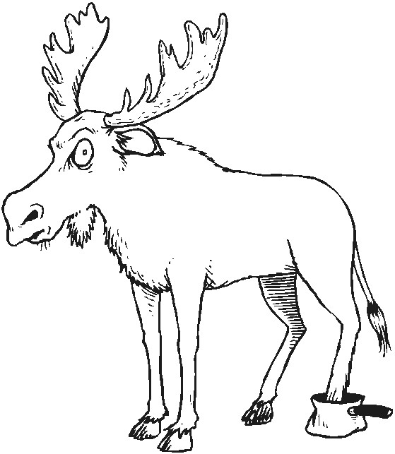 Forest Animal Coloring Pages
 Ausmalbilder für Kinder Malvorlagen und malbuch