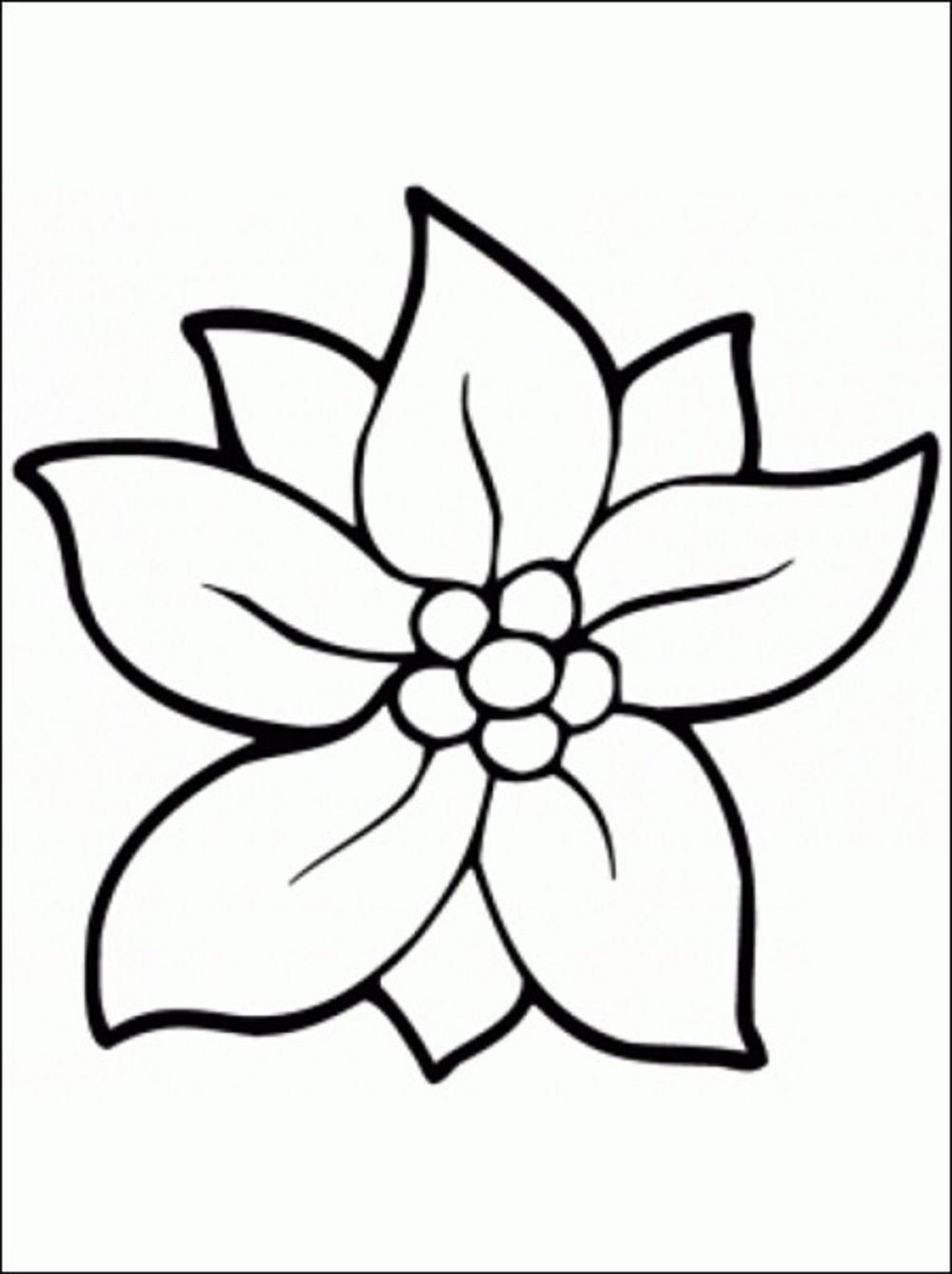 Free All Kinds Of Flower Printable Coloring Sheets
 Flower Coloring Pages coloringsuite