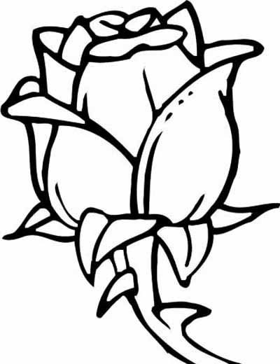 Free All Kinds Of Flower Printable Coloring Sheets
 Flower Coloring Pages Dr Odd