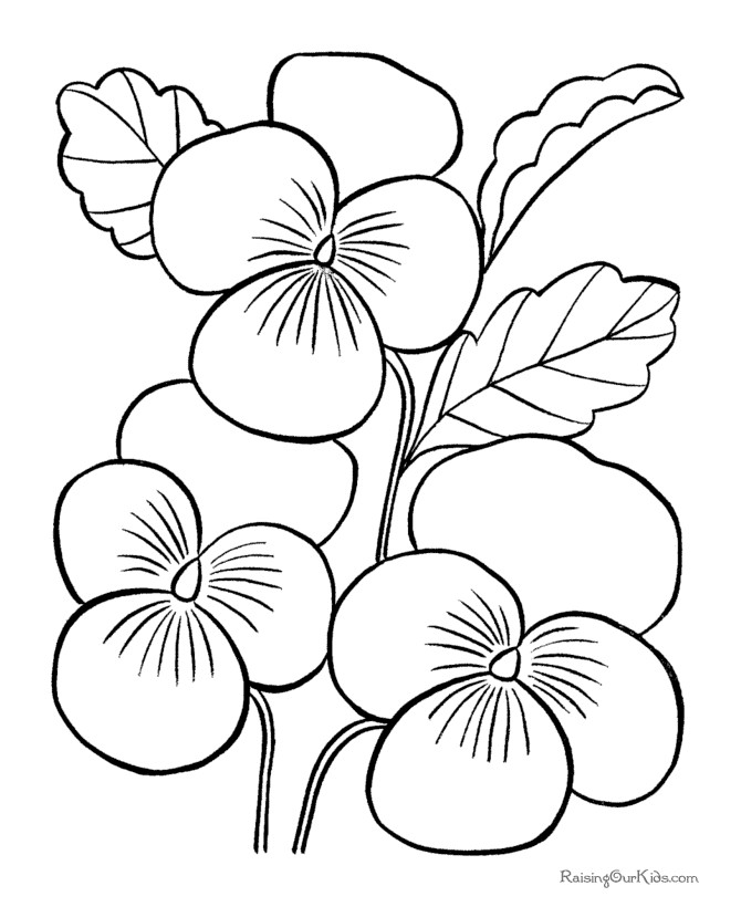 Free All Kinds Of Flower Printable Coloring Sheets
 Free Printable Flowers Coloring Home