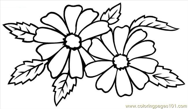 the-top-20-ideas-about-free-all-kinds-of-flower-printable-coloring-sheets-best-collections