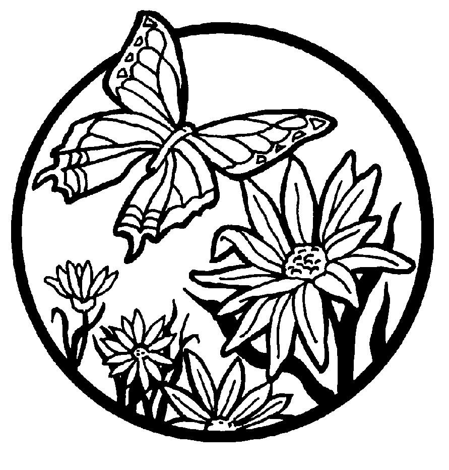 Free Butterfly Coloring Pages
 Free Printable Butterfly Coloring Pages For Kids
