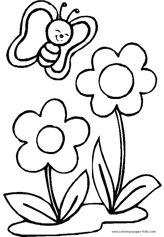 Free Carnation Printable Coloring Sheets
 free printable coloring pages flowers and butterflies