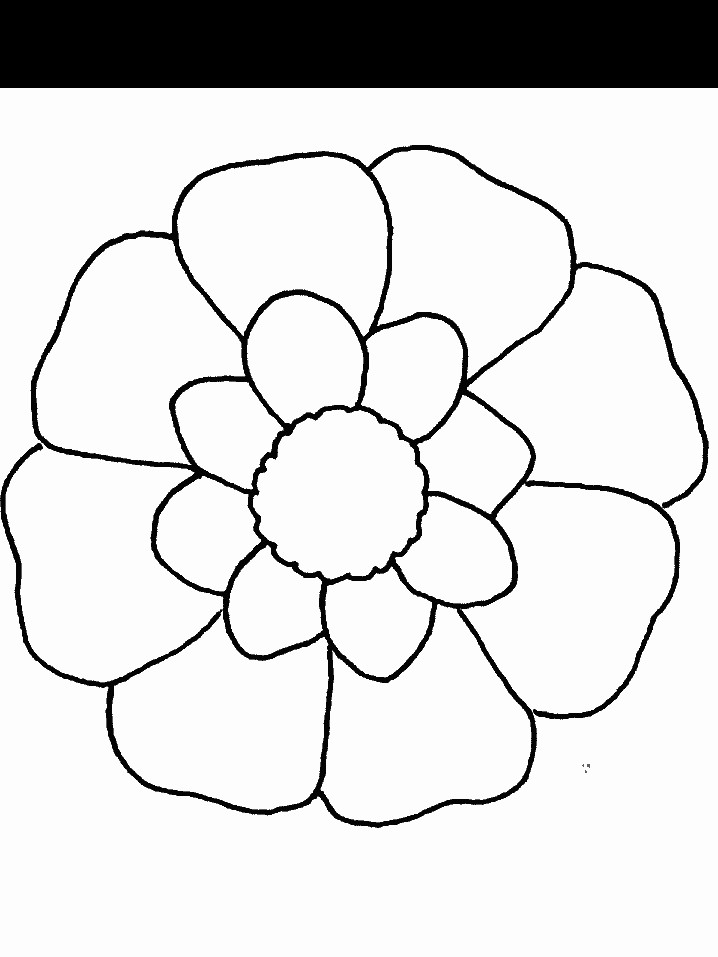 Free Carnation Printable Coloring Sheets
 Printable Flower Coloring Page Coloring Home