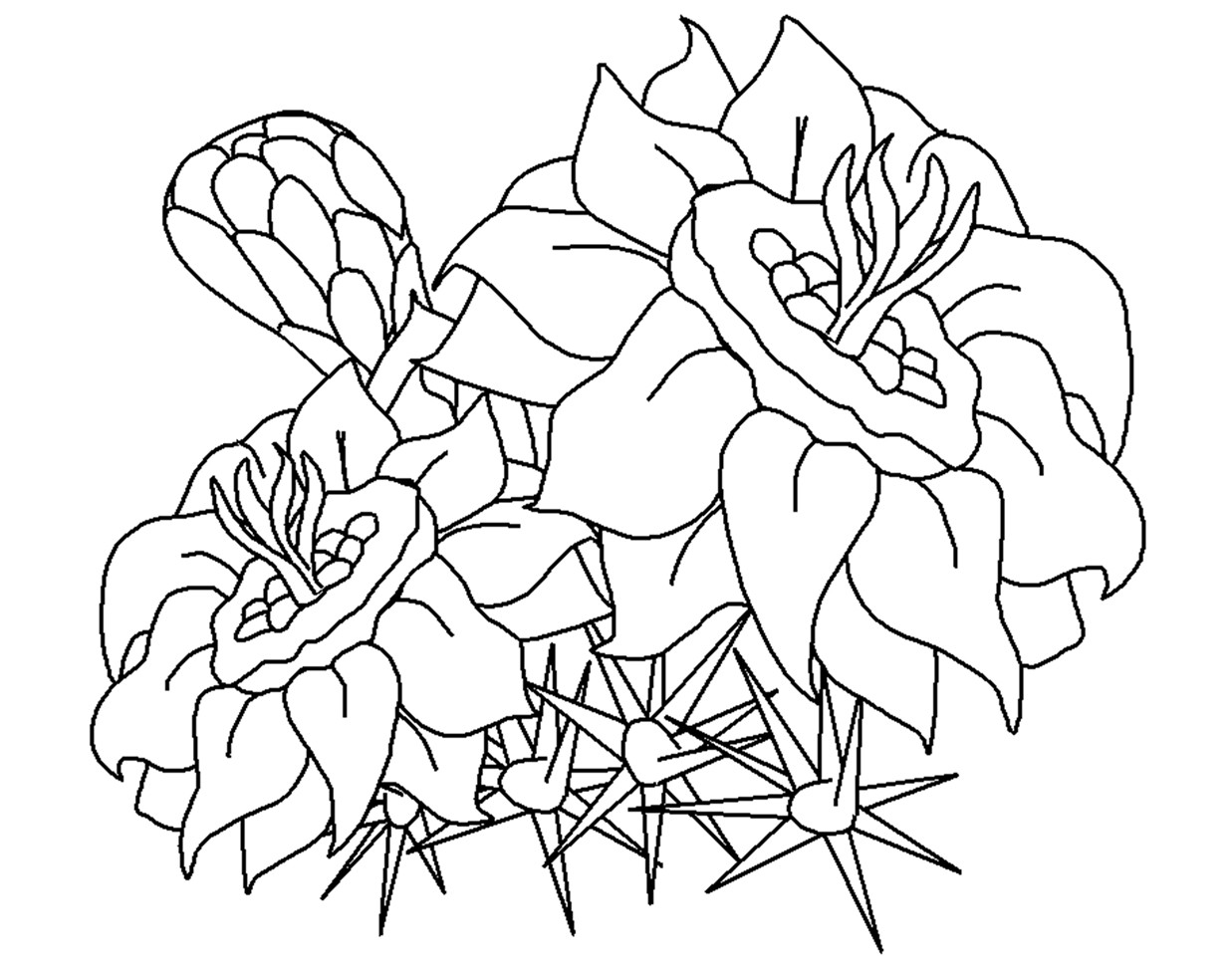 Free Carnation Printable Coloring Sheets
 Free Printable Flower Coloring Pages For Kids Best