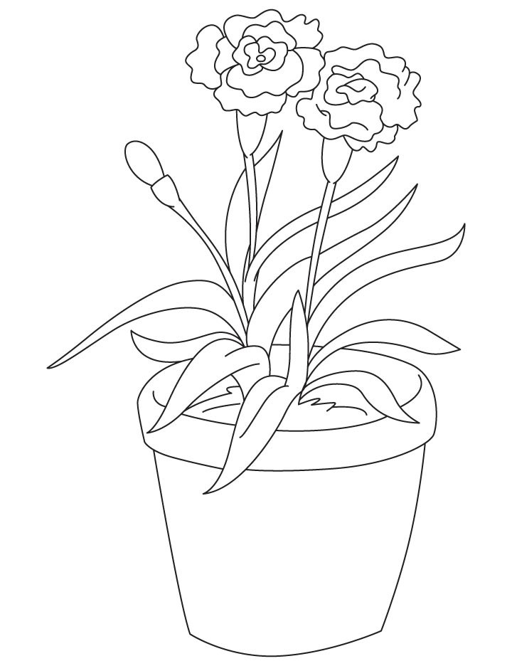 Free Carnation Printable Coloring Sheets
 Light red carnation coloring page