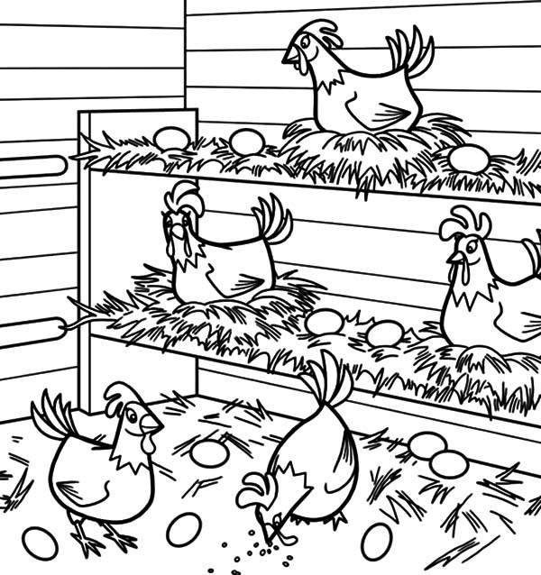Free Coloring Pages For Boys Chicken Nuggets
 Chicken Nug s Free Coloring Pages