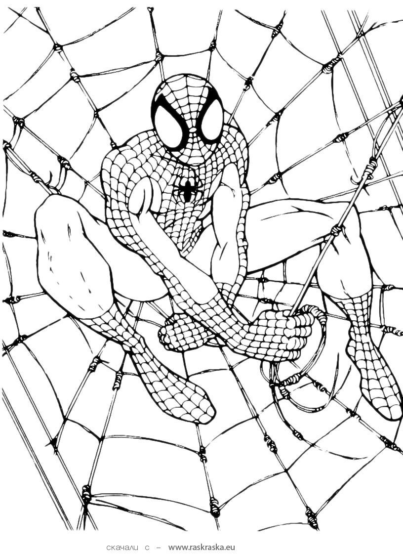 Free Coloring Pages For Kids Spiderman
 Free Printable Spiderman Coloring Pages For Kids
