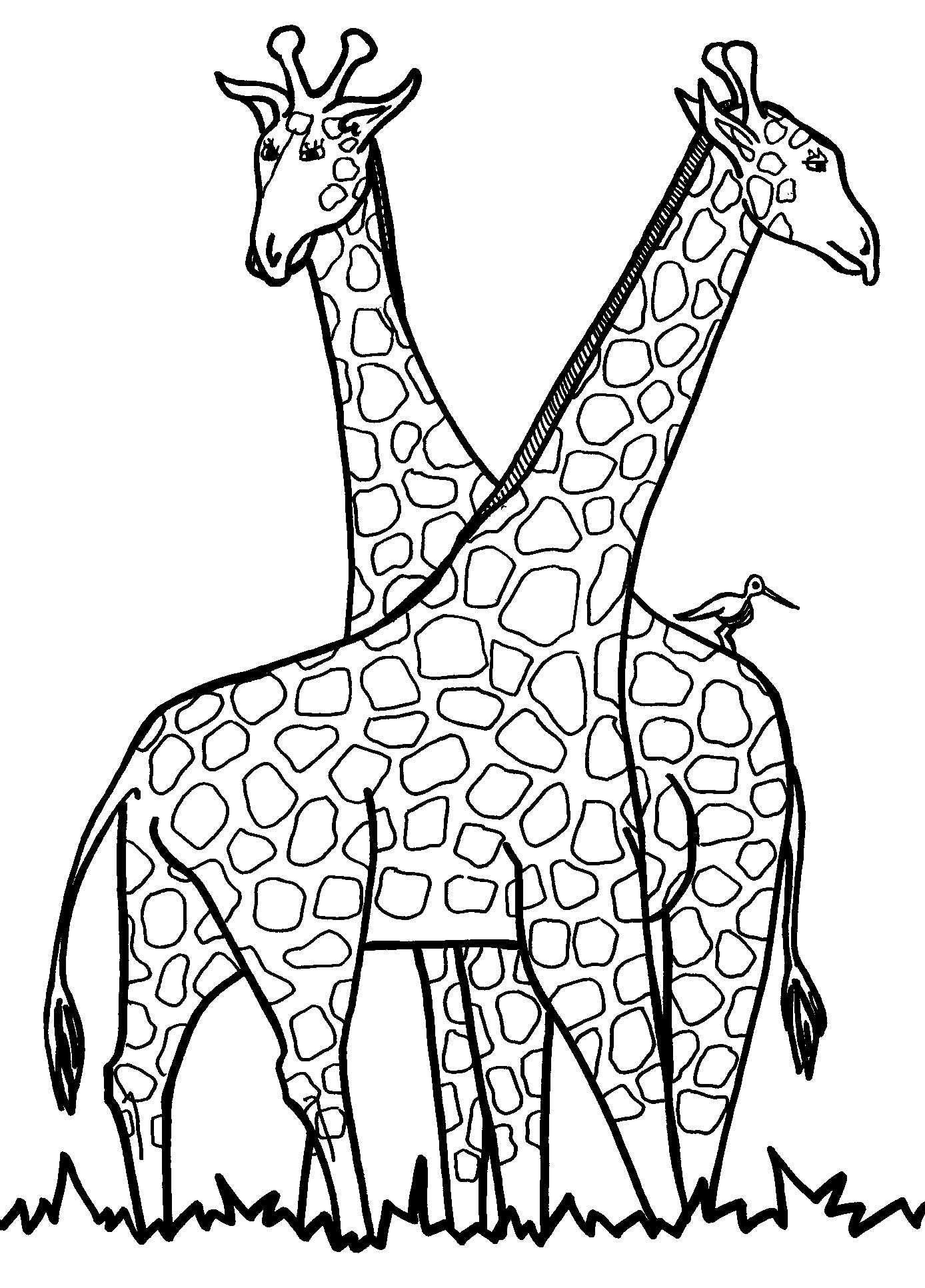 Free Coloring Pages Giraffe
 Free Printable Giraffe Coloring Pages For Kids