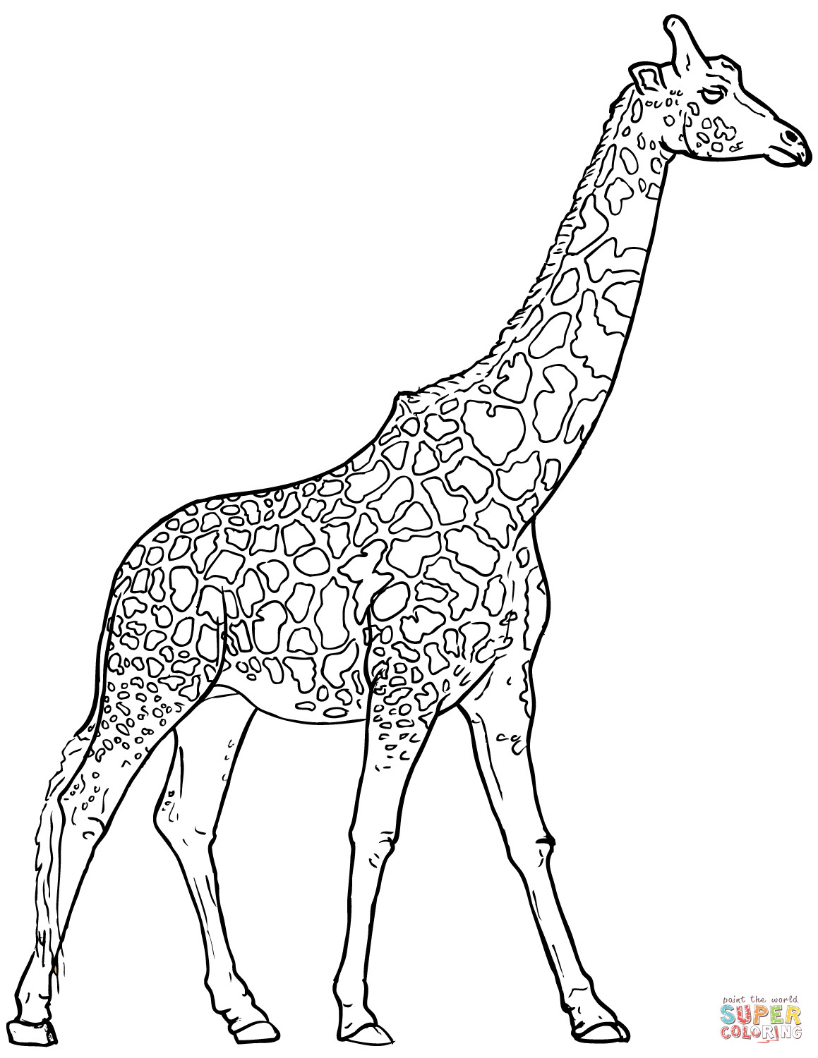 Free Coloring Pages Giraffe
 Realistic Giraffe coloring page