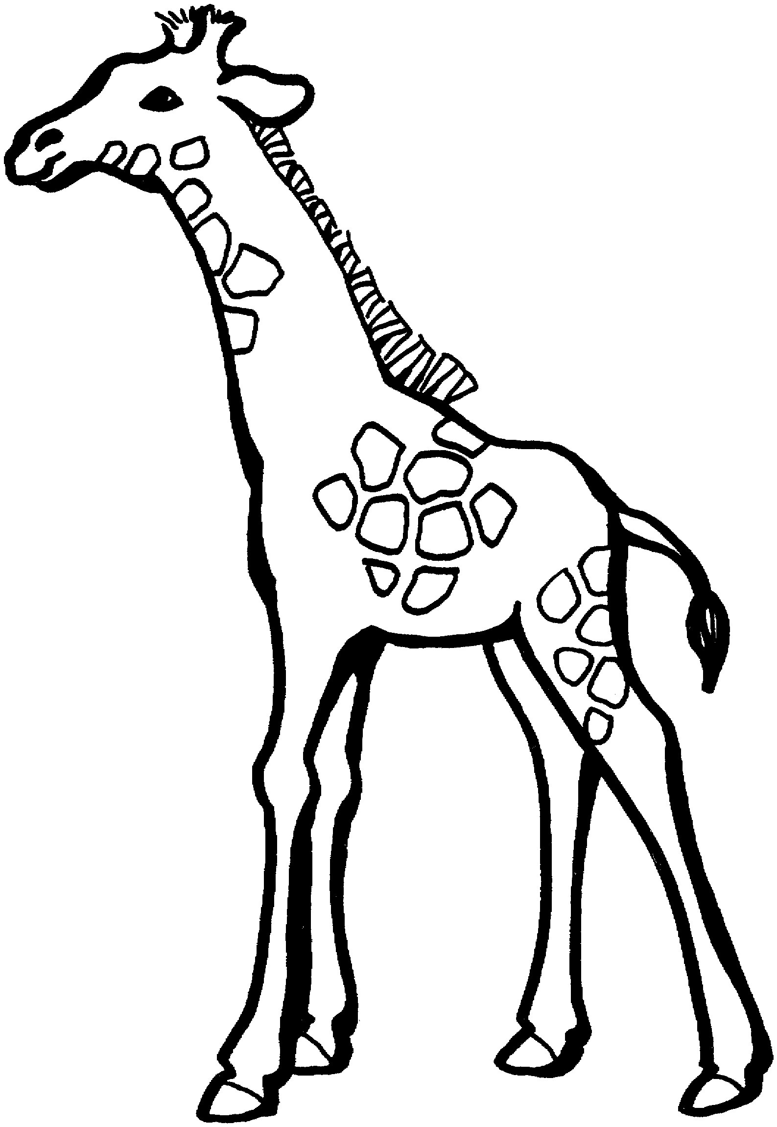 Free Coloring Pages Giraffe
 Free Printable Giraffe Coloring Pages For Kids