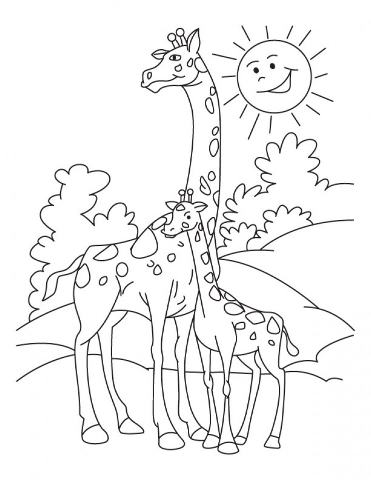 Free Coloring Pages Giraffe
 Get This Giraffe Coloring Pages Printable