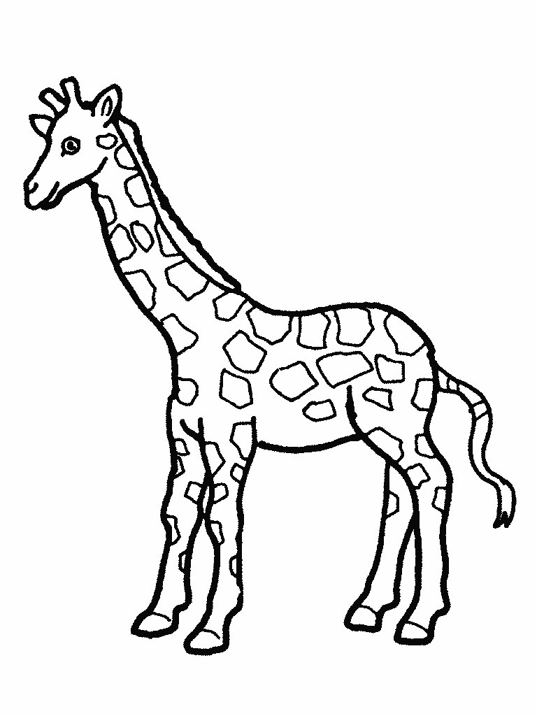 Free Coloring Pages Giraffe
 Free Printable Giraffe Coloring Pages For Kids