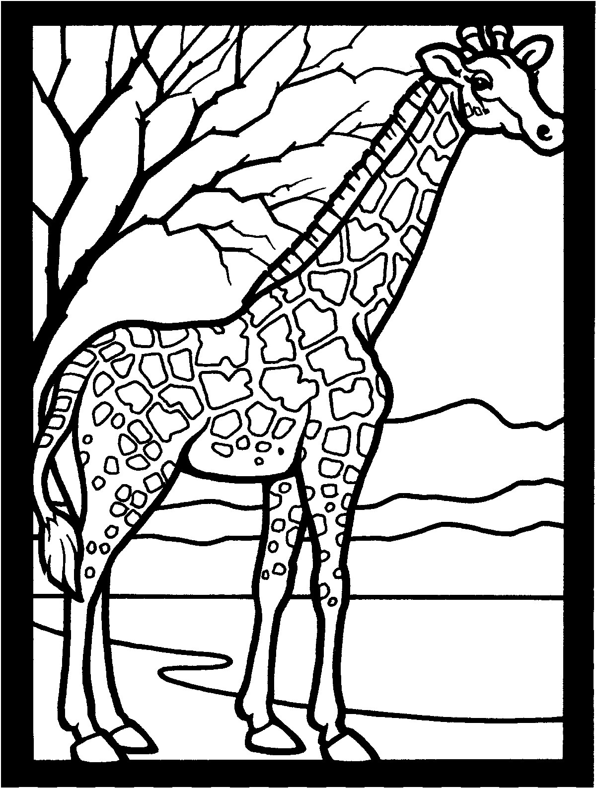 Free Coloring Pages Giraffe
 Free Printable Giraffe Coloring Pages For Kids