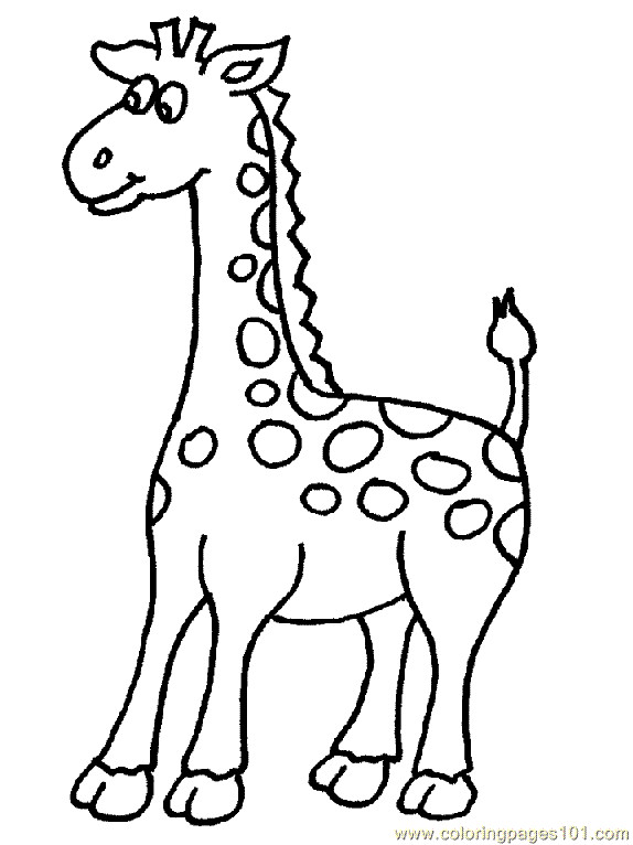 Free Coloring Pages Giraffe
 Giraffe Coloring Pages