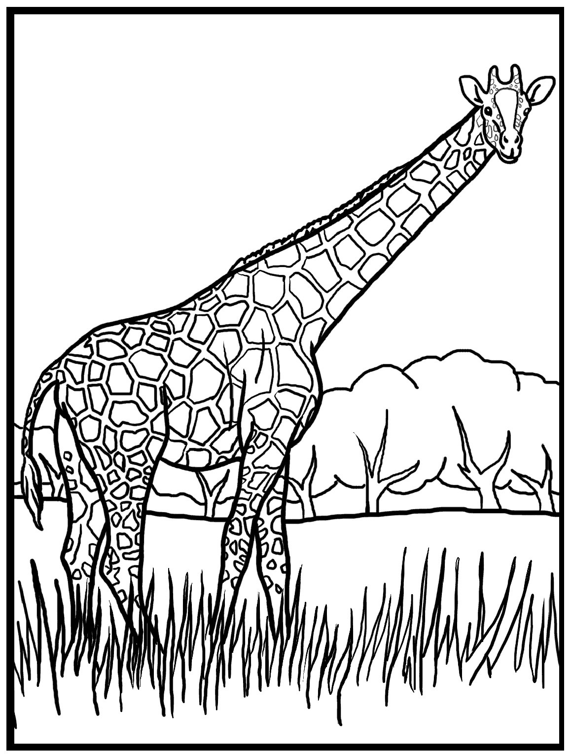 Free Coloring Pages Giraffe
 Free Printable Giraffe Coloring Pages For Kids